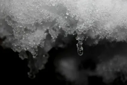 Навіщо потрібна хліборобам снігова вода тала вода (снігова) Навіщо потрібна хліборобам снігова вода тала вода