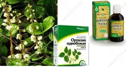 Залозиста гіперплазія ендометрію - лікування, симптоми (ендометрія) Залозиста гіперплазія ендометрію - лікування, симптоми