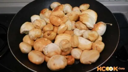 Смажені гриби дощовики - рецепт, як смачно приготувати дане блюдо (рецепт) Смажені гриби дощовики - рецепт, як смачно приготувати дане блюдо