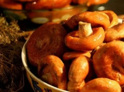 Засолка рижиків в домашніх умовах смачно і швидко (приготування солоних рижиків) Засолка рижиків в домашніх умовах смачно і швидко
