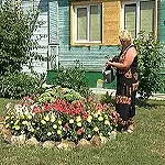 Жінку здивувала сила любові сизранца, який подарував троянду, яка не в'яне довгий час (любові) Жінку здивувала сила любові сизранца, який подарував троянду, яка не в'яне довгий час