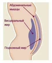 Ж - значить жіночність