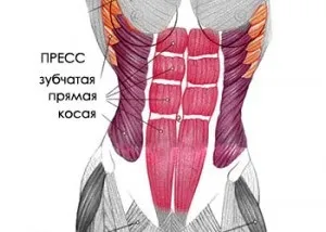 Ж - значить жіночність