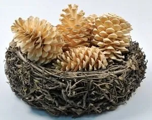 Зимова класика