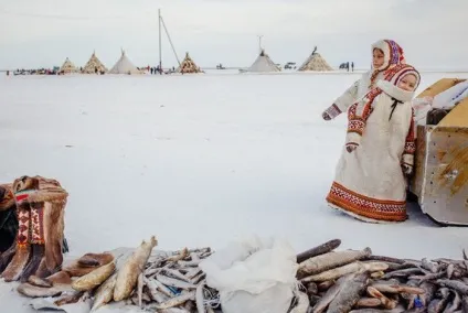 Життя на полярному колі (40 фото) - Трініксі