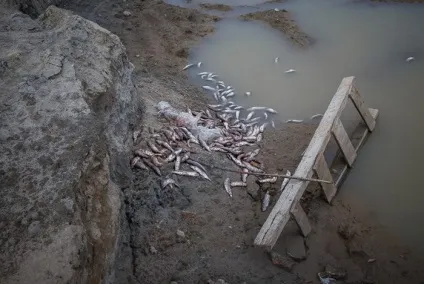 Життя на полярному колі (40 фото) - Трініксі