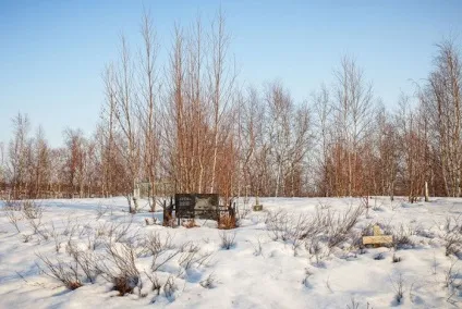 Життя на полярному колі (40 фото) - Трініксі