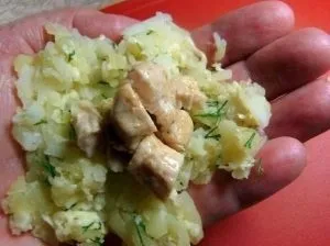 Зрази картопляні з куркою - рецепти з фото (рецепти виробів з тіста) Зрази картопляні з куркою - рецепти з фото