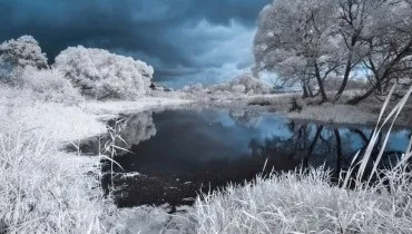 12 Зірок, які одружилися на простих людях - фото знаменитості (зірки які одружилися на простих людях) 12 Зірок, які одружилися на простих людях - фото знаменитості