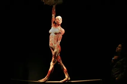 25 Самих страшних і вражаючих фотографій з виставки body worlds - бібліотека туриста (worlds) 25 Самих страшних і вражаючих фотографій з виставки body worlds - бібліотека туриста