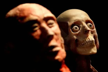 25 Самих страшних і вражаючих фотографій з виставки body worlds - бібліотека туриста (worlds) 25 Самих страшних і вражаючих фотографій з виставки body worlds - бібліотека туриста
