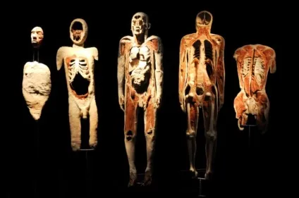 25 Самих страшних і вражаючих фотографій з виставки body worlds - бібліотека туриста (worlds) 25 Самих страшних і вражаючих фотографій з виставки body worlds - бібліотека туриста