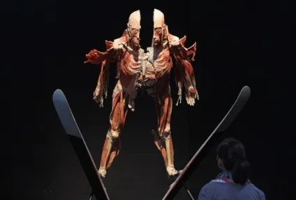 25 Самих страшних і вражаючих фотографій з виставки body worlds - бібліотека туриста (body) 25 Самих страшних і вражаючих фотографій з виставки body worlds - бібліотека туриста