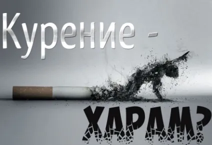 0, 1% Як живе саме нечисленне співтовариство мусульман в світі (фото) (америка) 0, 1% Як живе саме нечисленне співтовариство мусульман в світі (фото)