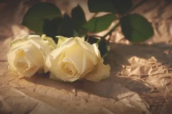 5 Причин не заводити службовий роман (причин) 5 Причин не заводити службовий роман