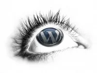 Як видалити в wordpress заміну логіна на нікнейм (логіну) Як видалити в wordpress заміну логіна на нікнейм