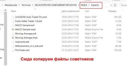 Як встановити радник форекс в торговий термінал (можливо просто необхідно) Як встановити радник форекс в торговий термінал
