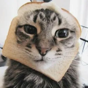 Android toast - спливаючі повідомлення