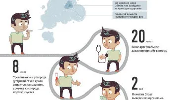 Антитютюновий закон в рф 2014 де тепер не можна палити, а де можна - ріа новини (россия)