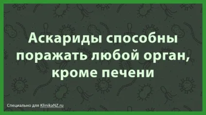 Аскаридоз у дітей способи зараження, симптоми і лікування аскарид у дитини (зараження) Аскаридоз у дітей способи зараження, симптоми і лікування аскарид у дитини