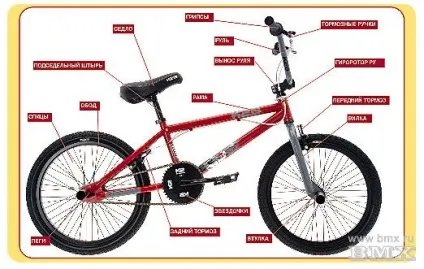 Анатомія велосипеда bmx - нижегородський екстрим (стріту дюйма флет) Анатомія велосипеда bmx - нижегородський екстрим