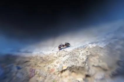 Великий тест lensbaby