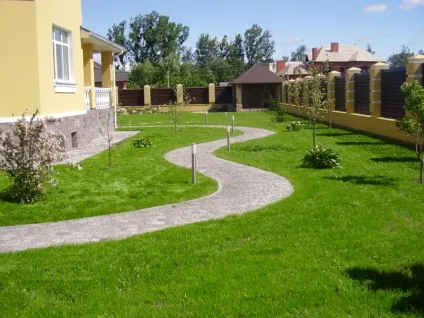 Хвороби газону - як не допустити або позбудеться від шкідників газону (фото приклади) (приклади) Хвороби газону - як не допустити або позбудеться від шкідників газону (фото приклади)