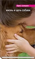 Людина і собака