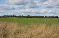Чим відрізняється садівництво від ДНП (Ipad MINI подарунок) Чим відрізняється садівництво від ДНП