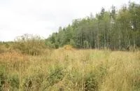 Чим відрізняється садівництво від ДНП (майно придбане рахунок) Чим відрізняється садівництво від ДНП