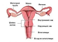 Цервікальний канал зімкнуть що це таке (таке) Цервікальний канал зімкнуть що це таке