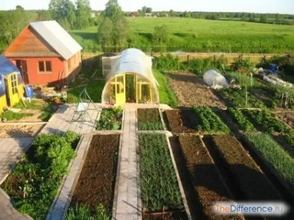 Чим відрізняється ІЖС від СНТ () Чим відрізняється ІЖС від СНТ