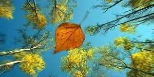 Що таке є людина-творець око планети інформаційно-аналітичний портал (планети) Що таке є людина-творець око планети інформаційно-аналітичний портал