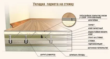 Що необхідно знати перед укладанням паркету (паркету) Що необхідно знати перед укладанням паркету