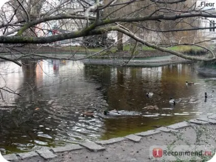 Чехія Карлові Вари - «дивовижний куточок Чехії (Карлові) Чехія Карлові Вари - «дивовижний куточок Чехії