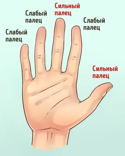 Що розкажуть руки про ваш характер