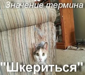 Що значить шкеріться як зрозуміти слово шкеріться який сенс шкеріться (зрозуміти) Що значить шкеріться як зрозуміти слово шкеріться який сенс шкеріться
