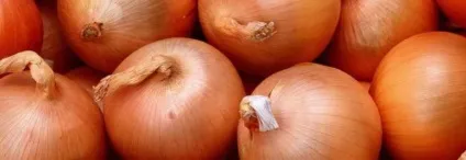 Дешеві продукти для здорового харчування (людина) Дешеві продукти для здорового харчування