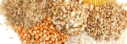 Дешеві продукти для здорового харчування (якість життя) Дешеві продукти для здорового харчування