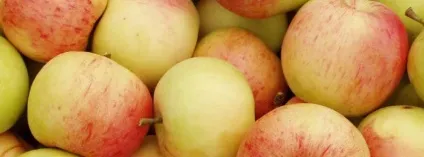 Дешеві продукти для здорового харчування (крупи перловка овес гречка) Дешеві продукти для здорового харчування