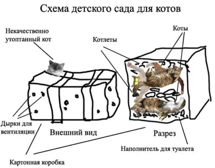 Дитячий садок для котів