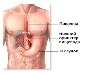 Ектазія яремної вени справа лікування, лікування вен (Cream varicose veins) Ектазія яремної вени справа лікування, лікування вен