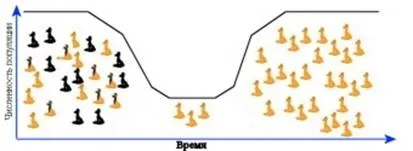 Дрейф генів як фактор еволюції (дрейф) Дрейф генів як фактор еволюції