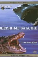 фільми дискавері