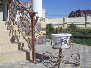 Фото кованих перил на ганок як зробити їх самостійно, особливості конструкцій, вибір (фото) Фото кованих перил на ганок як зробити їх самостійно, особливості конструкцій, вибір