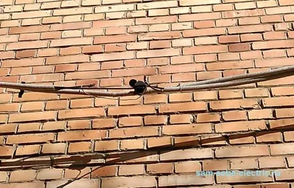 фото електрика