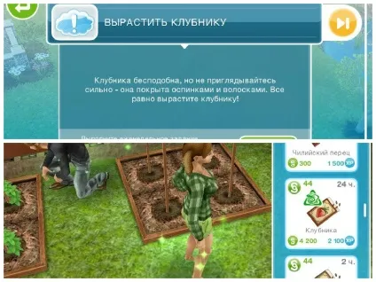 Щоденні завдання в the sims freeplay, the sims free play (free) Щоденні завдання в the sims freeplay, the sims free play