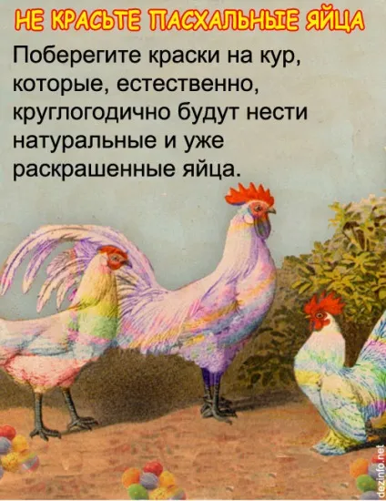 Це ніколи не покажуть по анімал планет вражаючі факти про тварин