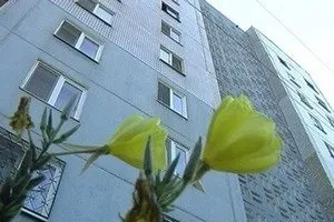 Голосування власників багатоквартирного будинку, підрахунок голосів і порядок проведення зборів в (багатоквартирного) Голосування власників багатоквартирного будинку, підрахунок голосів і порядок проведення зборів в