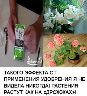 Гліцерин для омолодження шкіри 5 ефективних (ефективних) Гліцерин для омолодження шкіри 5 ефективних